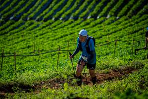 BIB: 
                            <button type="button" onclick="openModal(19160815)" class="btn btn-primary btn-sm float-right btn-popup" data-toggle="modal" data-target=".modal-high-quality">
                        <i class="fas fa-shopping-cart"></i> Add to Cart
                    </button>
                                            <button type="button" onclick="isThisMe(19160815, true)" class="btn btn-success btn-sm float-right btn-popup btn-isme hidden" data-toggle="tooltip" data-placement="bottom" title="นี่คือรูปของคุณใช่ไหม คลิกที่นี่เพื่อเอาเข้าอัลบั้ม">
                        <i class="fas fa-plus"></i> Add to album
                    </button>
                    <button type="button" onclick="isThisMe(19160815, false)" class="btn btn-warning btn-sm float-right btn-popup btn-isnotme hidden">
                        <i class="fas fa-ban"></i> Remove from album
                    </button>